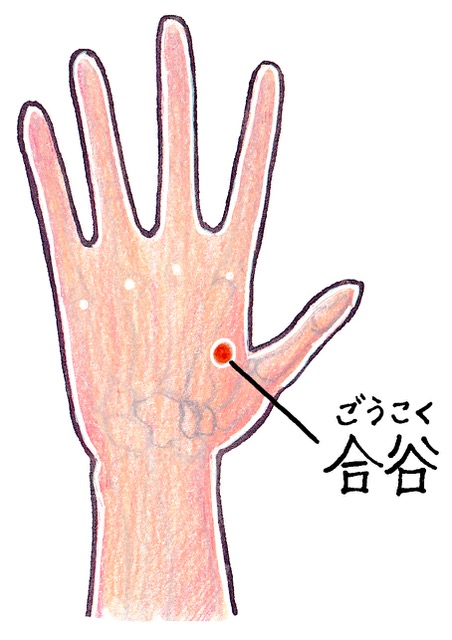 合谷（ごうこく）