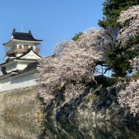 【旅するランニング日記】北海道・仙台・富山・東京の朝ランスポット～国内編1～