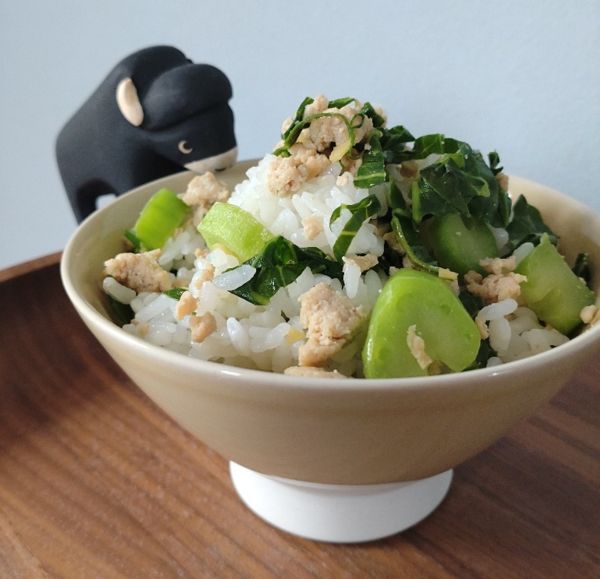 雲仙（うんせん）こぶ高菜そぼろ混ぜごはん