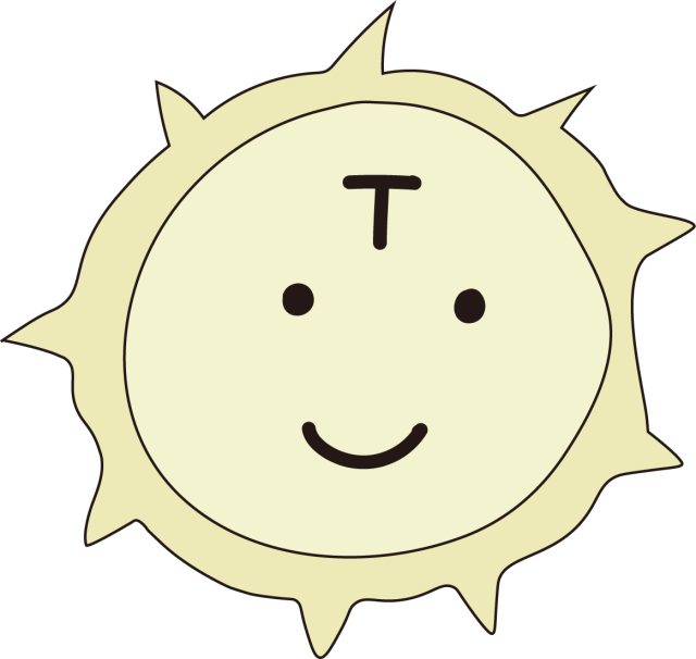 制御性T細胞　Tレグ