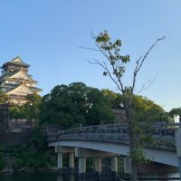 【旅するランニング日記】大阪・神戸・広島・沖縄の朝ランスポット～国内編2～