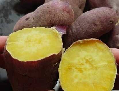 蒸したさつまいも