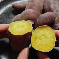 ダイエット中もおすすめ！「さつまいも」の太りにくい調理法とアレンジスイーツ3選