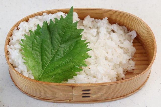 2品弁当の詰め方プロセス