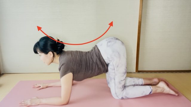 背骨を引き合うように伸ばす