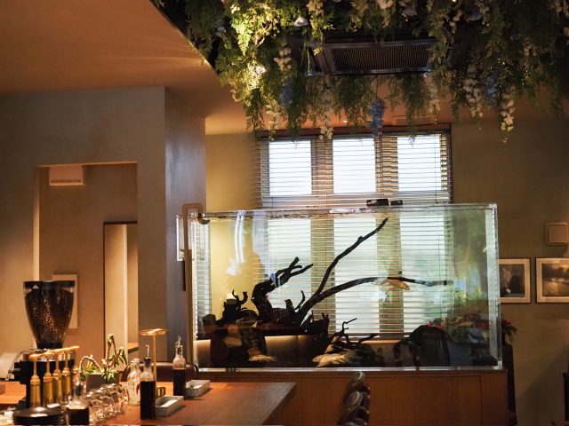 i2 cafe 店内の水槽