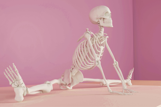 骸骨が柔軟している　CANVA