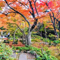 忙しい年末こそ「休む力」を育てよう。心を整える3つの小さな美習慣