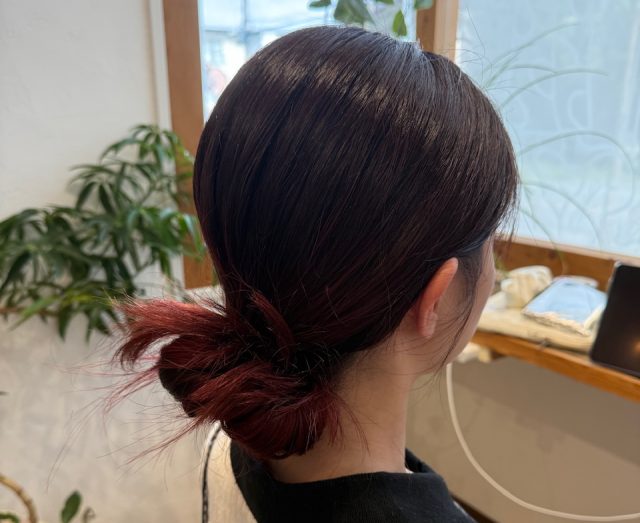 お団子斜め後ろかの姿