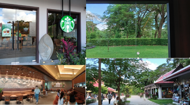 スターバックスAngkor Parvis店