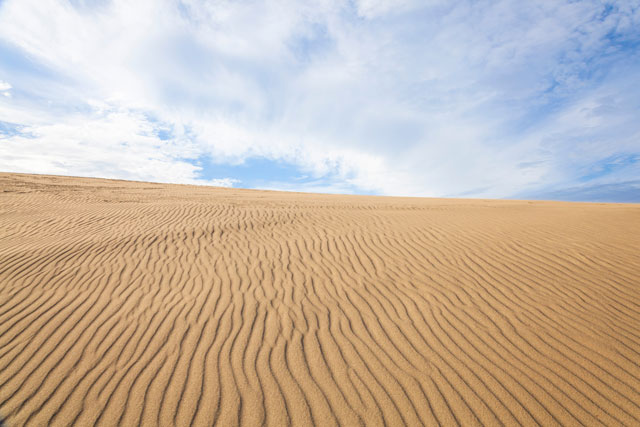 鳥取砂丘