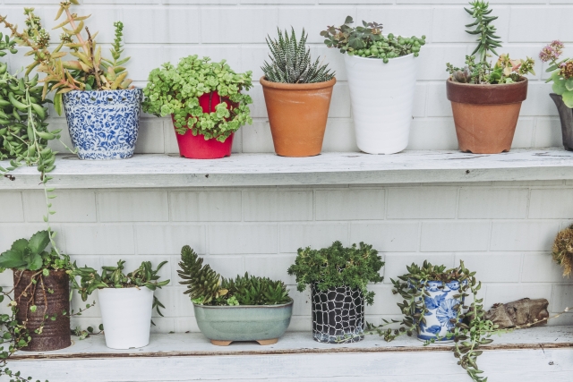 クリスマスカード