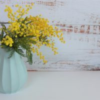 身につける色で人生が変わる？「カラーの力」を使って前向きなマインドを作る方法