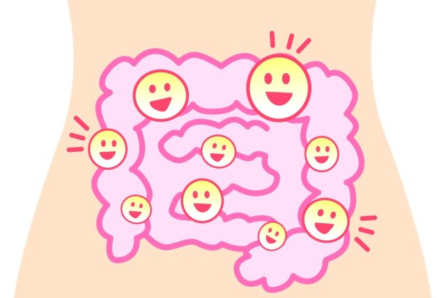 良好な腸内環境