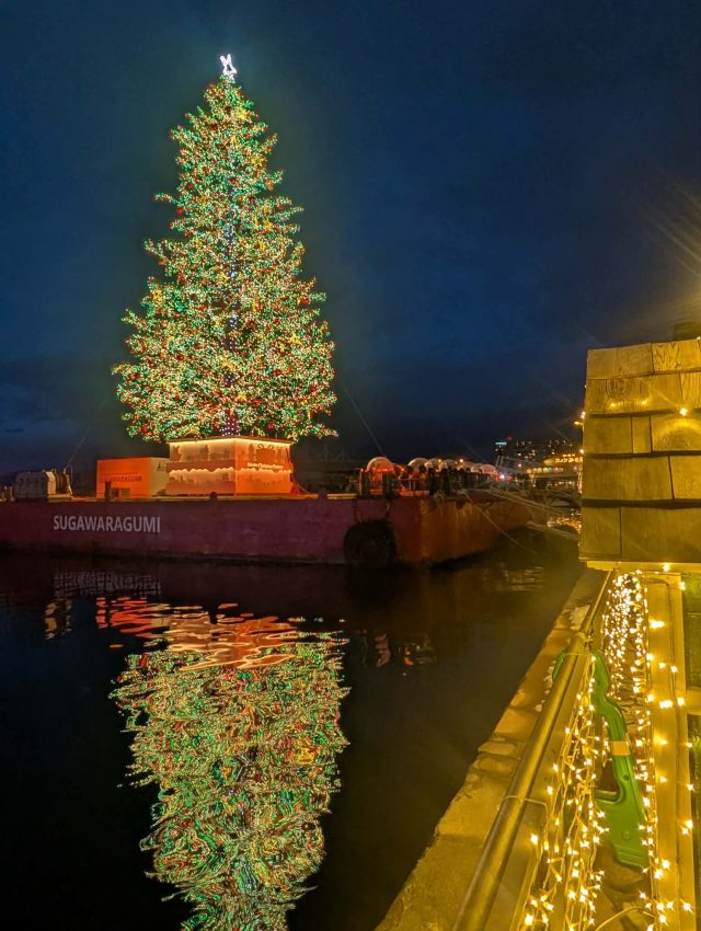 クリスマスツリー