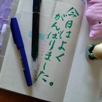 手帳が続かない5月に。「書けない日」から戻る小さな3ステップ