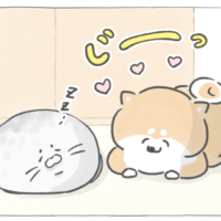 【四コマ漫画】vol.200｜その寝顔、反則…！見守るだけのはずが？