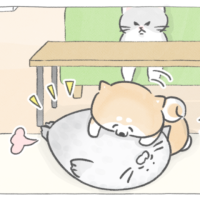 【四コマ漫画】vol.201｜入りたい…でもためらう！”ウズウズ”が止まらない瞬間