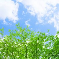 【レンジ5分で簡単】春の“なんとなく不調”を整える「朝の薬膳レシピ」2品