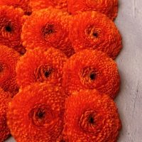 知らないともったいない！毎日に取り入れたい「国産ハーブ」の楽しみ方3つ