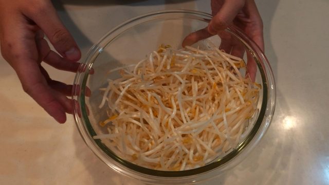 ボウルに入ったもやし