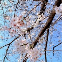 新年度に「何かを足す」のは禁止。心がふっと軽くなる“引き算”の朝習慣