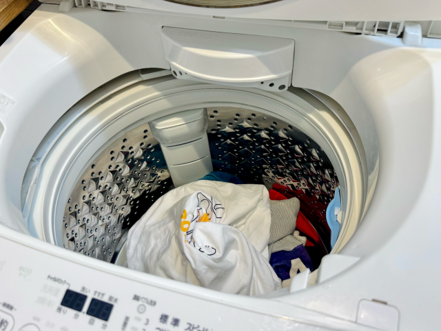 洗濯層の中