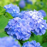 梅雨の不調はこうして予防！簡単セルフケア3つ