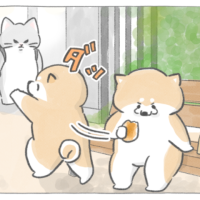 【四コマ漫画】vol.203｜通りかかっただけなのに…!?“強制参加”のまさかの展開