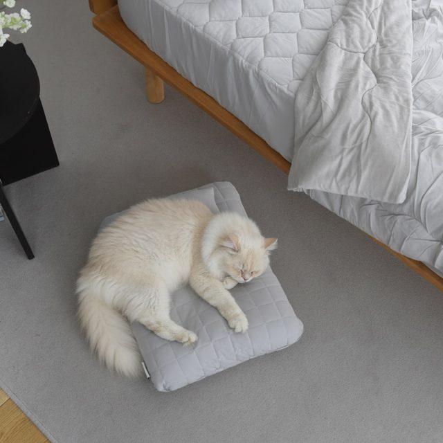 ドライコットン さらさら ペットベッド まくら付き