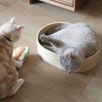 新ブランド「bon moment cat」誕生！シンプルで快適に暮らせる「猫アイテム」4選