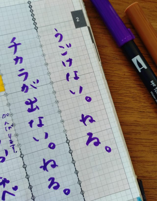 手帳の書き込み