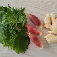 長持ち＆すぐ使える！香味野菜の保存ワザ＆活用レシピ