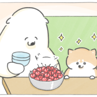 【四コマ漫画】vol.212｜旬のさくらんぼに大興奮！あっという間に完食したのは？