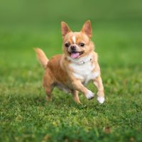 「ぐるぐる回る」を2単語の英語で言うと？