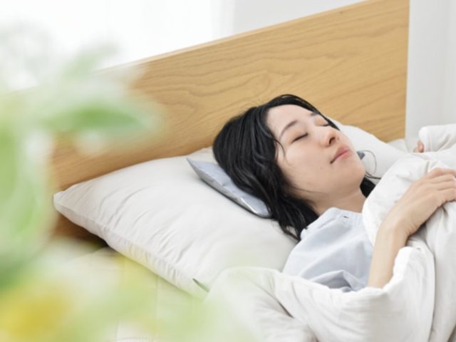 夏　睡眠　北極まくら