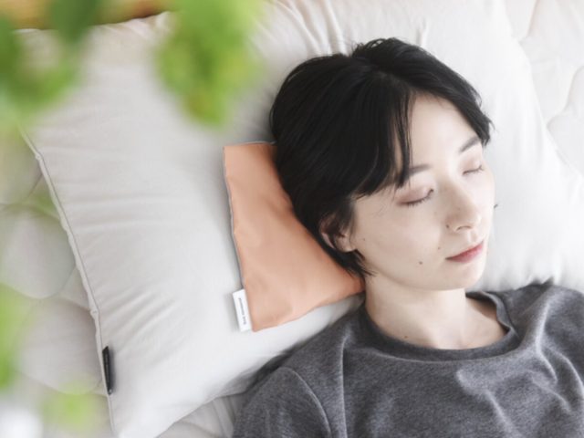 北極まくら