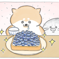 【四コマ漫画】vol.213｜のせすぎた!? 山盛りブルーベリートーストの朝