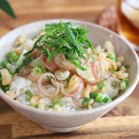 3分で完成♪爽やか「薬味まみれのぶっかけごはん」
