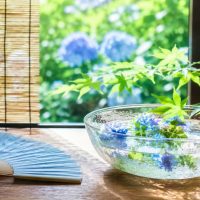 夏の不調をためない人が続けている！毎日の3つの習慣