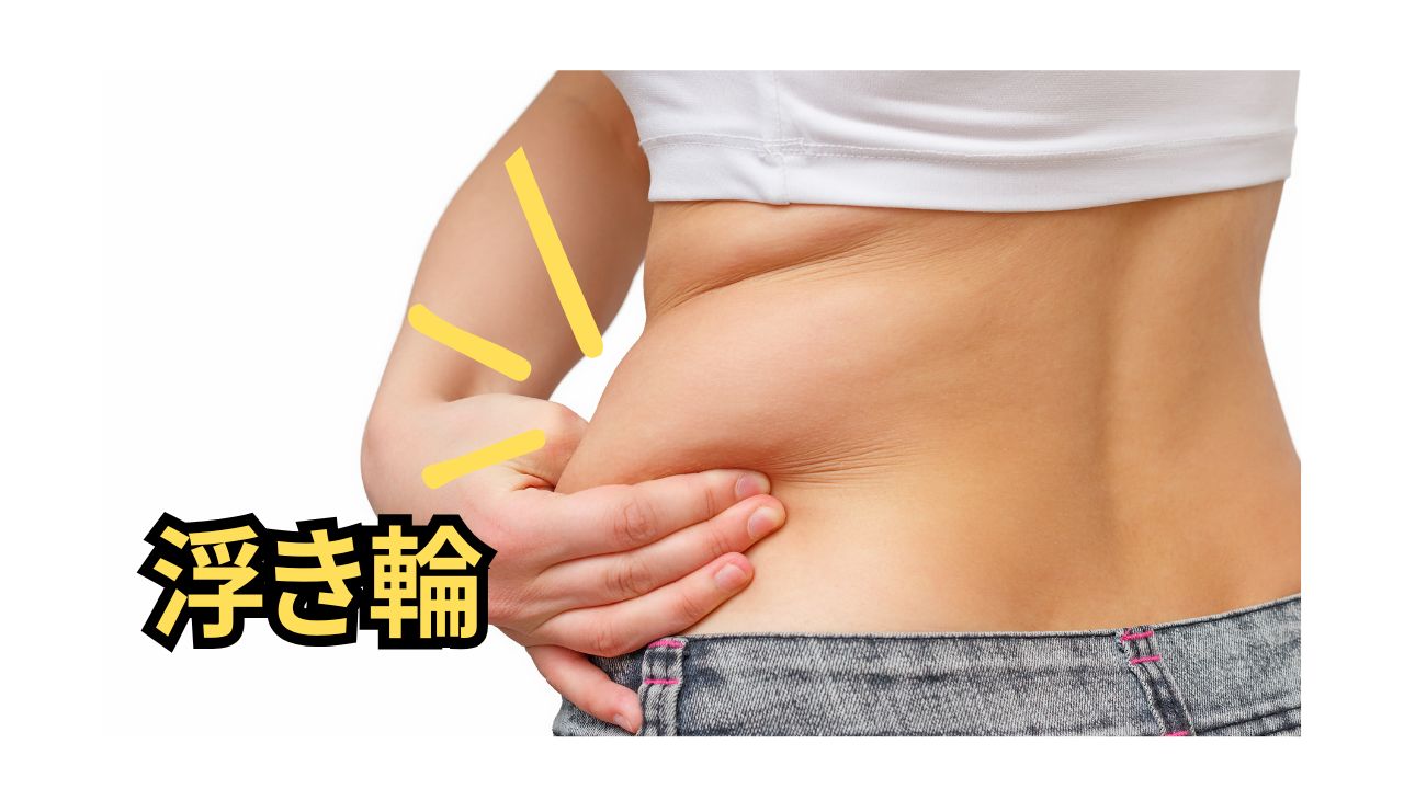 腰回りの肉