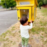 Free Little Library