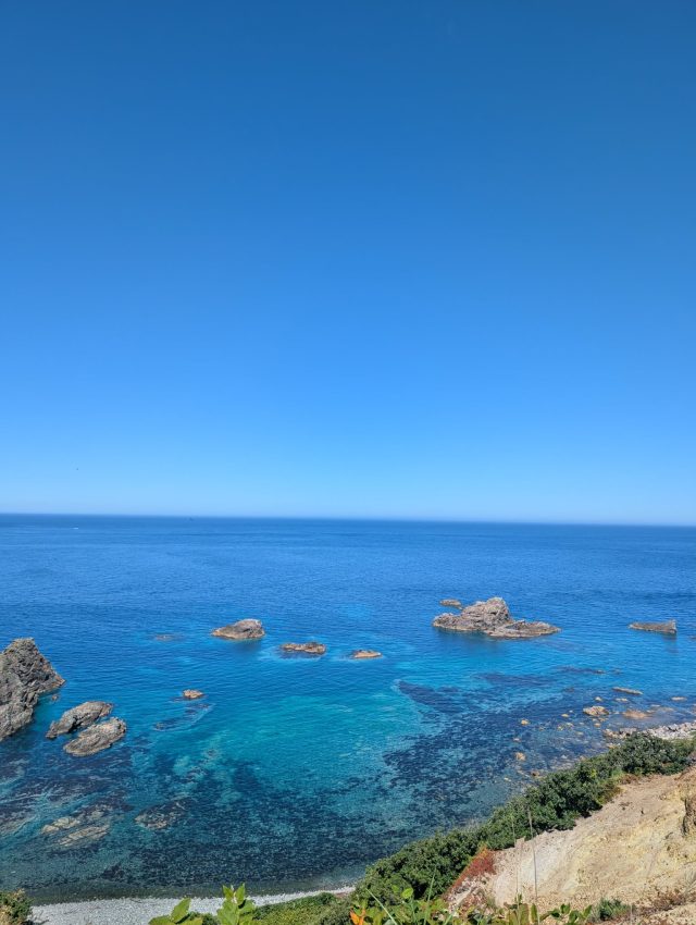 海