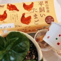 無理なくできる日だけでOK！未来につながる「朝のエシカル習慣」7つ