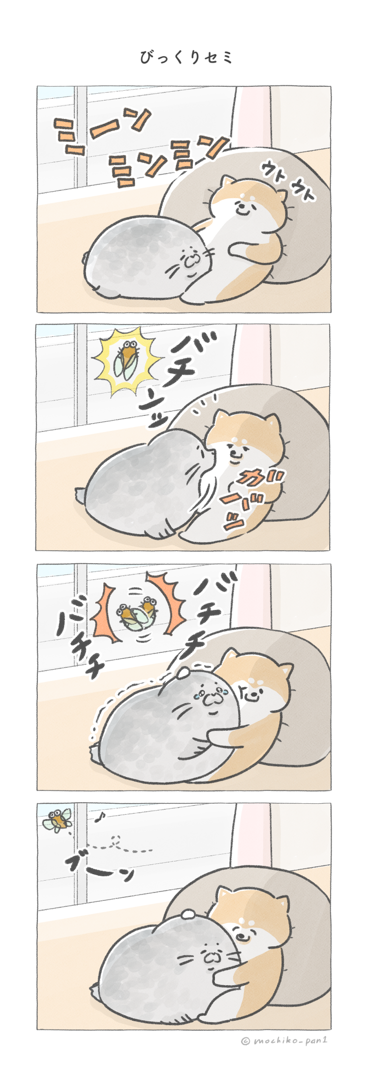 びっくりセミ
