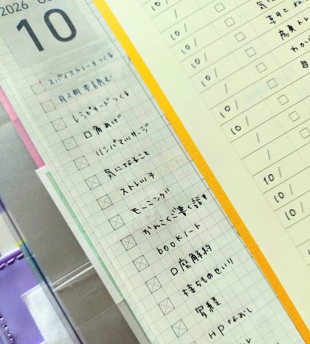マンスリーのチェックボックスに書き出した手帳
