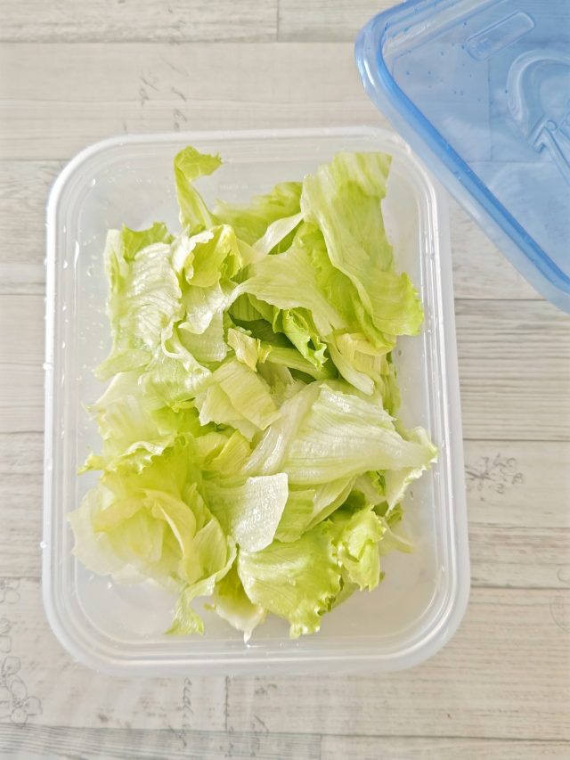 保存容器に入れたレタス