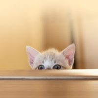 英語「feel scared」の意味って？