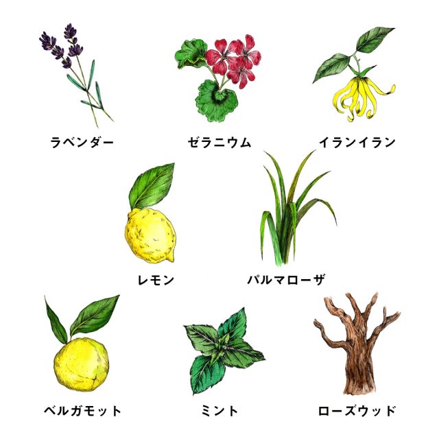 ナチュラルシャンプーの精油