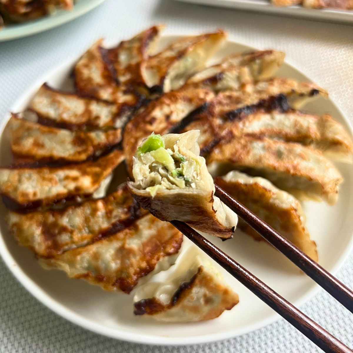 【10/30まで送料無料】3種を食べ比べ！「ほぁんほぁん餃子」90個セット